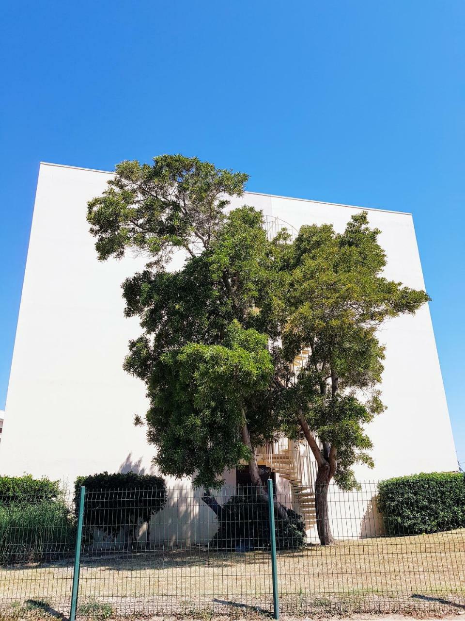 Studio Calme Avec Parking Et Ascenseur -304- Canet-en-Roussillon Dış mekan fotoğraf