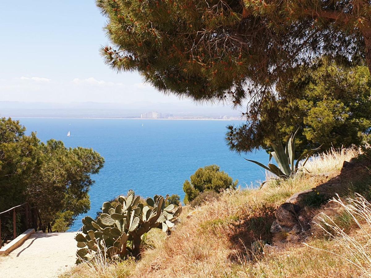 Studio Calme Avec Parking Et Ascenseur -304- Canet-en-Roussillon Dış mekan fotoğraf