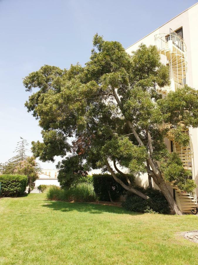 Studio Calme Avec Parking Et Ascenseur -304- Canet-en-Roussillon Dış mekan fotoğraf